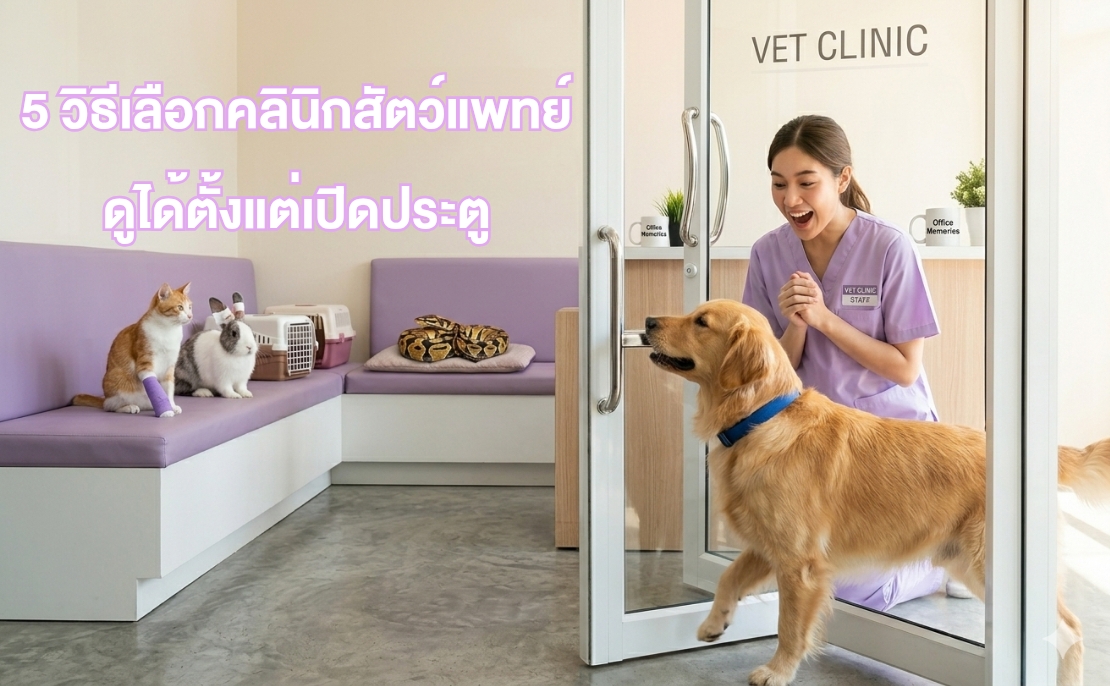 วิธีเลือกคลินิกสัตว์แพทย์