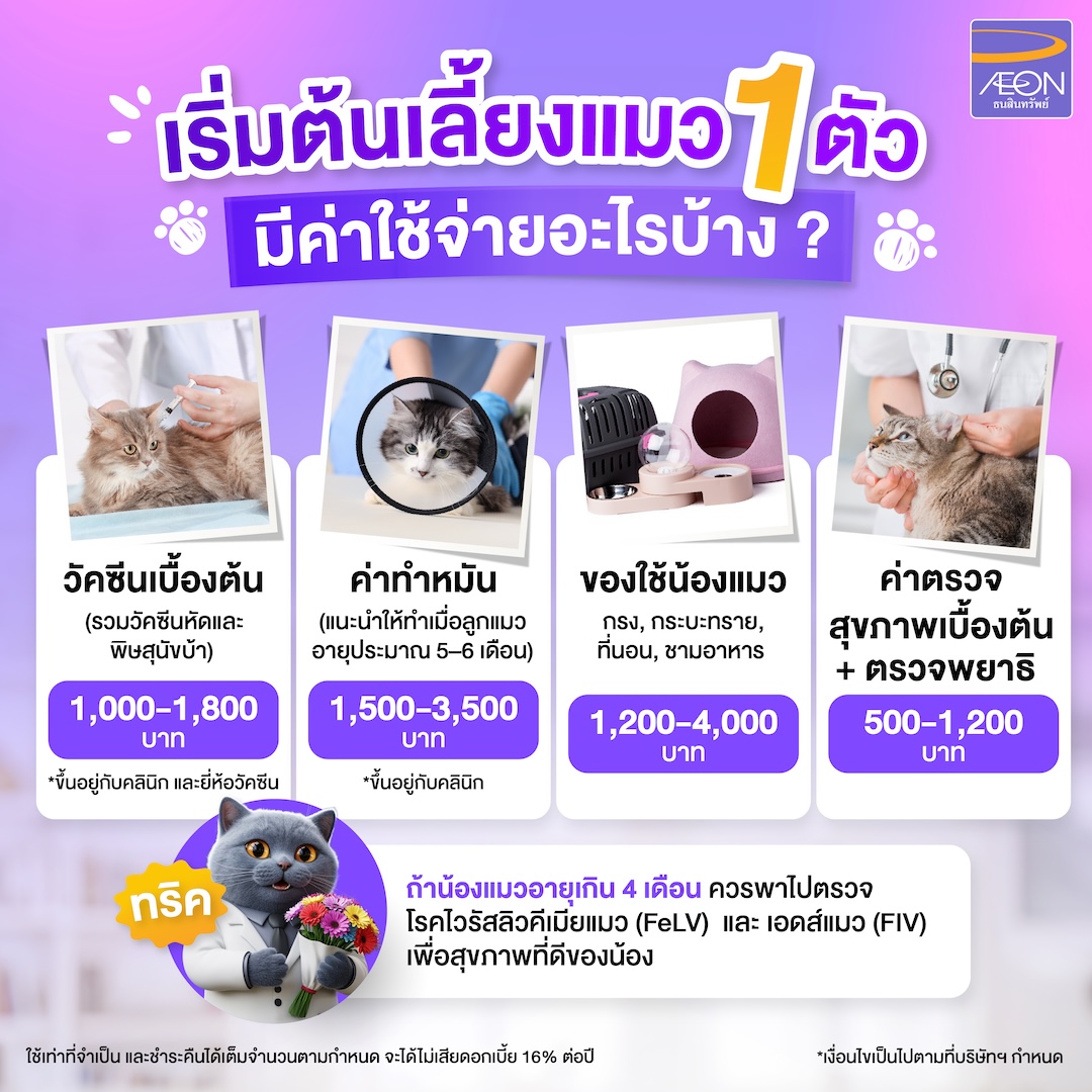 How-Much-Does-It-Cost-to-Raise-Cat.jpg